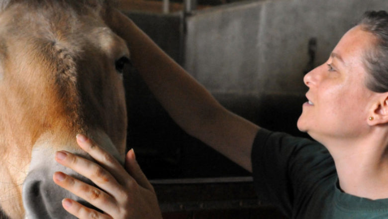 How Therapeutic Riding Assists Women Recovering from Breast Cancer
