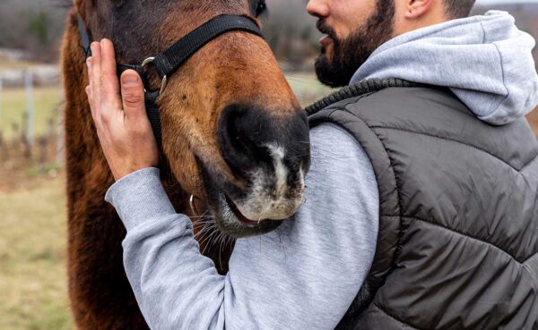 טיפול בעזרת סוסים בישראל ליוצאי צבא ומשטרה עם PTSD